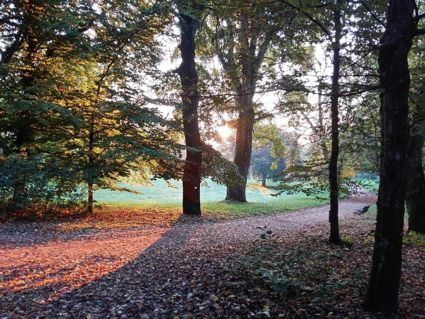 La Maisonnette Du Parc Le Creusot Eksteriør bilde